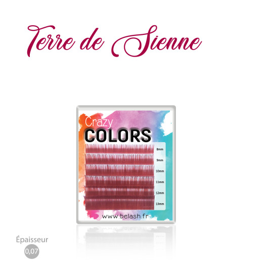 Palette d'Extensions de Cils Crazy Colors en Volume Russe pour des Poses Flamboyantes, Magnifiques Couleurs TERRE DE SIENNE AUBU