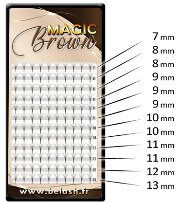 Magic Brown mix Presta 9D copie.JPG